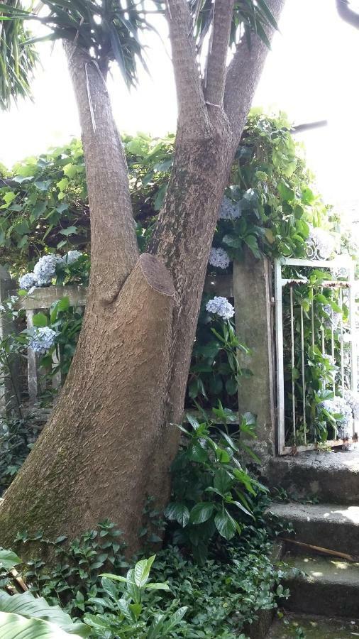 Casa Rural Don Armando Bueu Ngoại thất bức ảnh